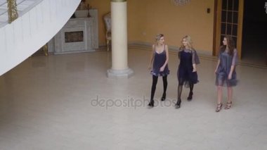 Üç güzellik boş oda geziniyor. Seksi bir elbise giydi, diğer iki kız sentetik mesh uçan elbiseler giymiş. Kızlar güvenle uzun bir salon gitmek