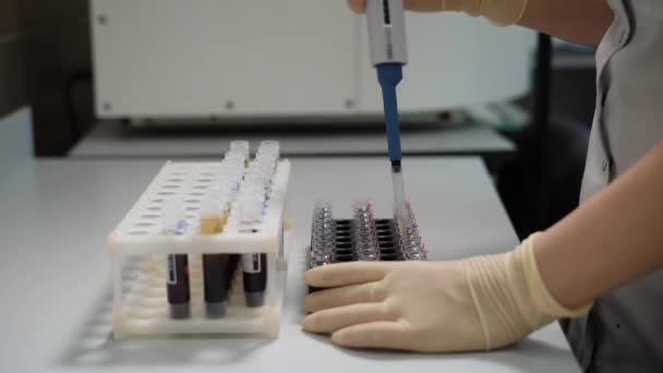 Work in a medical laboratory. The specialist is engaged in the analysis of blood. The nurse or doctor works with the flasks filled with analyzes. — Stock Video