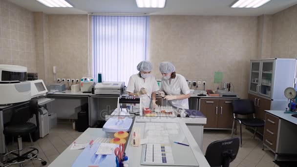 Trabalhar num laboratório médico. No quadro, dois enfermeiros ou médicos, eles estão envolvidos na análise de amostras obtidas de pacientes . — Vídeo de Stock