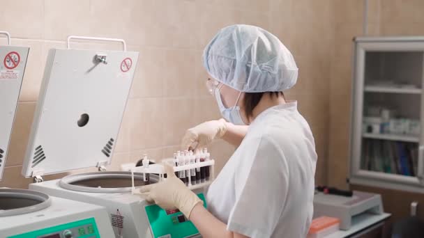 Une femme médecin adulte en blouse blanche et avec des gants hygiéniques place les tests sanguins stockés dans des éprouvettes dans un appareil de centrifugation pour séparer les liquides biologiques en fractions — Video