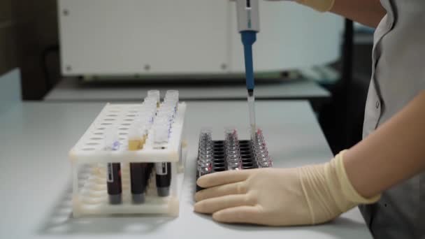 Close up shot of a doctors hand, who is transferring patients urine from glass test tubes to cones for future analyzes in the laboratory of the hospital — Stock Video