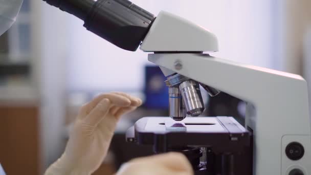 Woman, medical worker with a microscope in the laboratory. She is studying a blood test, or a biological smear. It is important to correctly identify the condition, bacteria, microbes and viruses. — Stock Video