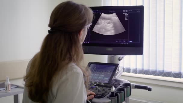 Médico a fazer ecografia. Visão traseira do médico feminino fazendo ecografia usando a máquina na sala de luz . — Vídeo de Stock