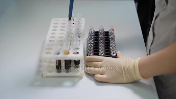 Primer plano de las manos de un asistente médico en matorrales blancos y guantes de látex cargando muestras líquidas en tubos de ensayo con pipeta de plástico en el laboratorio de investigación . — Vídeos de Stock