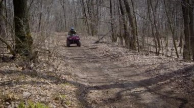 Sonbahar ormanda Atv yarışçı. Yüksek hızda Atv yarış adam orman yolda geçer.