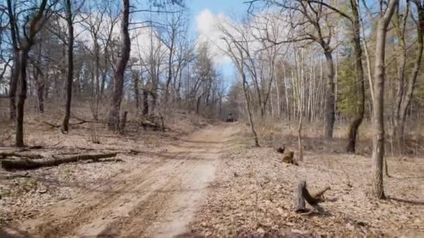 Sunny day in the wood. Two riders on quadrocycle in the autumn forest. Men ride on quad bikes on forest roads. — Stock Video