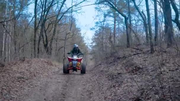 Bosque de otoño. El hombre en una forma especial en el ATV. El corredor monta en la madera el ATV de carreras . — Vídeos de Stock