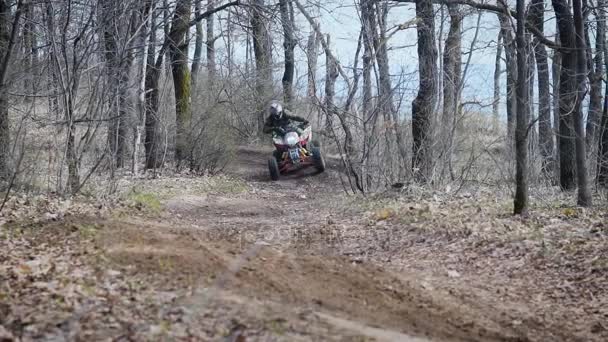 Sonniger Tag im Herbstwald. Der Raser verlässt nach einer abrupten Kurve das Quad. Mann fährt in Waldstück abseits der Straße. — Stockvideo