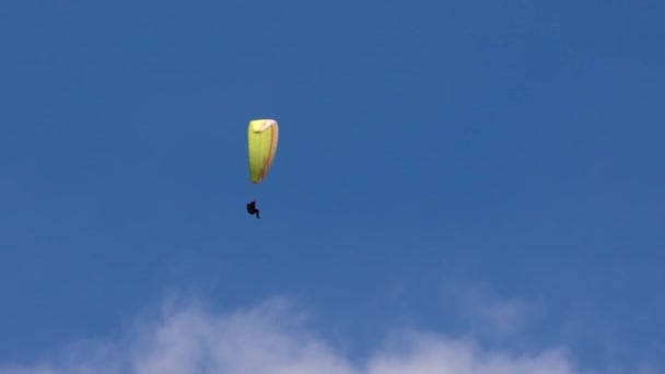 Paraglider i himlen, flyger i luftströmmar. Frihet, när du flyger som en fågel, en enorm höjd. Extrema sporter. — Stockvideo