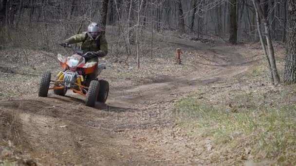 Vacances extrêmes dans les bois sur le VTT. Les hommes pratiquent le sport automobile, le quad est un moyen idéal pour rouler sur les routes de campagne. Toutes les roues motrices aident à surmonter les obstacles et à conquérir le terrain — Video