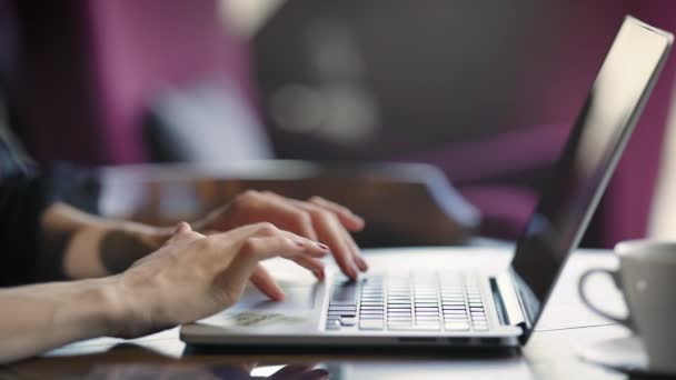 Beskär bild av kvinna använder laptop. Gröda skott av kvinnliga sitter i café och skriva på laptop. — Stockvideo