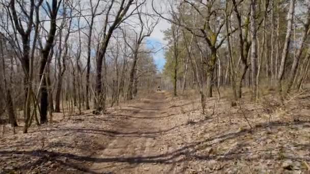 Dois pilotos estão dirigindo ATV e vindo com alta velocidade ao longo da estrada na floresta. Fãs de turismo extremo participando da competição e andando juntos off-road quad bikes no caminho . — Vídeo de Stock