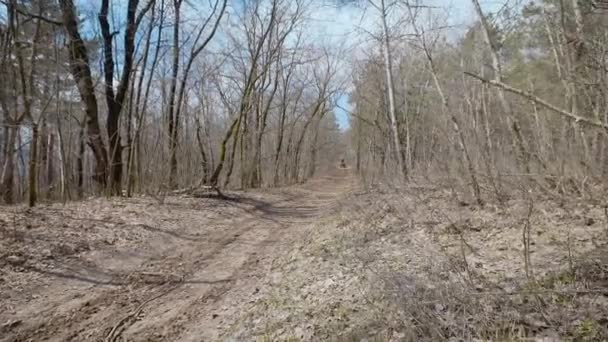 Homme en équipement de protection vert conduisant un VTT et venant rapidement à grande vitesse le long de la route dans la forêt. Sportsman de tourisme extrême fait du quad tout-terrain et se précipite sur le sentier . — Video