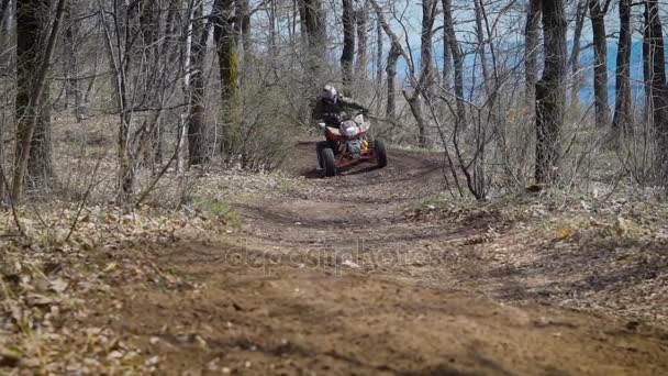 Primer plano de un hombre montando ATV y moviéndose a alta velocidad a lo largo de la carretera en el bosque. Jinete saltando a la vuelta de la esquina en quad bike en el camino y seguir adelante con los árboles a ambos lados . — Vídeos de Stock