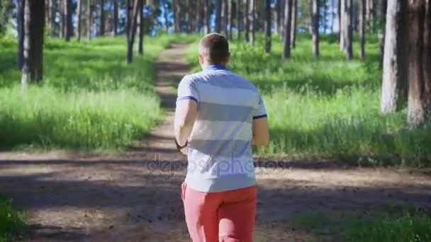 Анонімний чоловік біжить на сонячному світлі вниз по стежці в літньому лісі — стокове відео