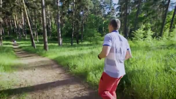 Felismerhetetlen férfi sportruházat, napfény, nyár erdő fut — Stock videók