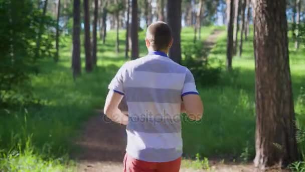 Jovem a correr na floresta. Desporto e estilo de vida saudável. Hora de verão — Vídeo de Stock