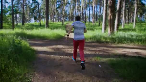 Joven trotando en el parque. Acelerando y corriendo en los límites . — Vídeos de Stock