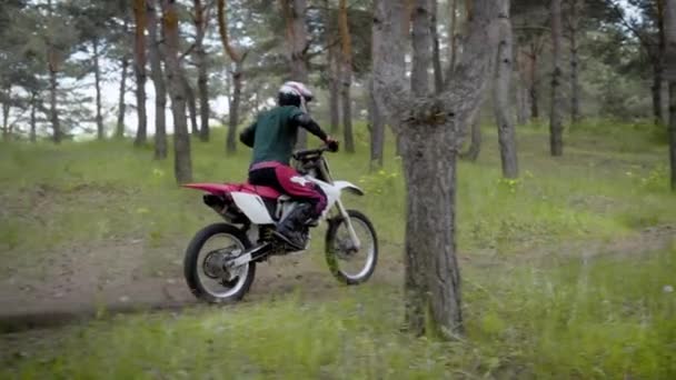Man on motorcycle riding off road in summer woods — Stock Video