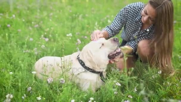 Νέος σκύλος ιδιοκτήτης κορίτσι παίζει με το Λαμπραντόρ στο καταπράσινο πάρκο. — Αρχείο Βίντεο