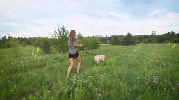 Propietaria y feliz perro labrador en la hierba paseando en el día de verano — Vídeos de Stock