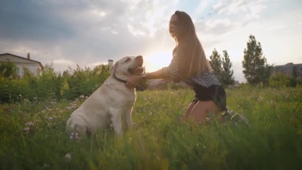 Женщина тренирует свою собаку на открытом воздухе — стоковое видео