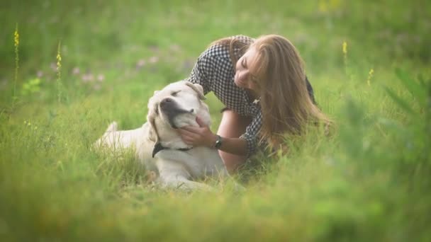 Flicka som leker med sin hund i park — Stockvideo