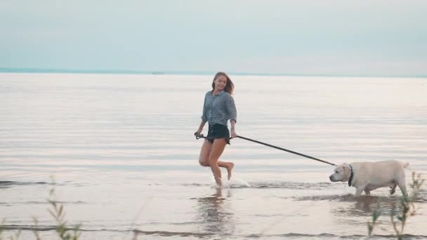 Mujer está caminando labrador grande con una correa en una orilla de gran río en el tiempo de la tarde, sonriendo y riendo — Vídeo de stock