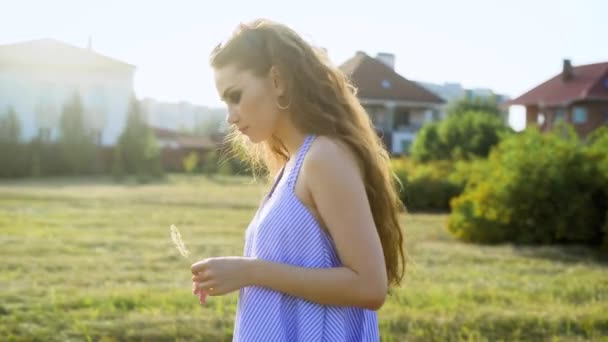 Vista lateral de la joven morena en ropa casual sosteniendo una pequeña rama y posando sobre el fondo del campo . — Vídeo de stock