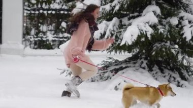 neşeli esmer giymiş pinksweater çalışan bir bahçede köpek tasmalı ile karlı whinter günde