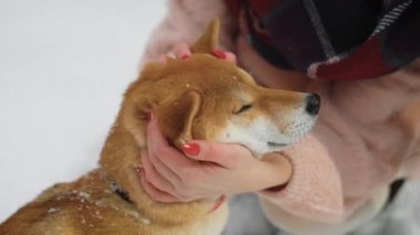 kadın kırmızı köpek açık havada bir kış günü karlı zeminde ayakta. ağızlık eliyle okşayarak yakın çekim