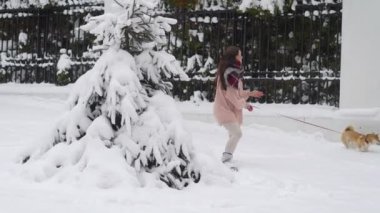 Köpek ve kadın karda oynarken mutlu saat