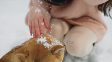 Güzel kız karda oturup onun sevimli shiba okşamaya görüntüsünü kapatmak.