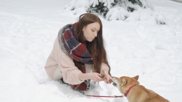 Kvinna kämpar för pinnen med hunden. — Stockvideo