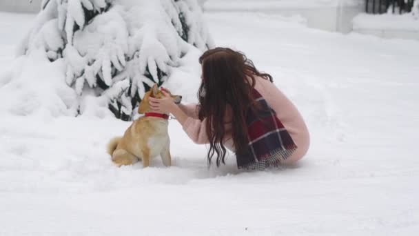 Junge Frau mit wallenden Haaren, die im Winter draußen mit ihrem kleinen Hund spielt, um schneeweißen Schnee — Stockvideo