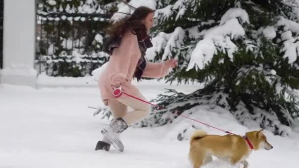 Bastante joven perro jugando y divertirse con el perro en el parque de invierno — Vídeos de Stock