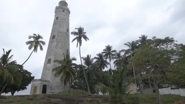 Panorama palem v tropickém pralese s malými domky a staré kamenné věže proti zatažené obloze, mezník — Stock video