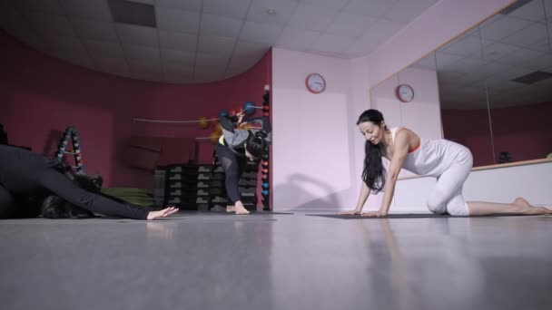 Jonge vrouwen zijn betrokken bij het rekken op tapijten voor yoga, sport dames pull nimshtsy benen voor warming-up vóór fysieke training — Stockvideo