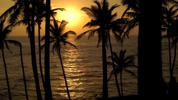 Günbatımı güzel atış tropikal plaj. — Stok video