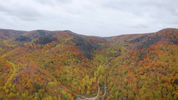 Aerial view. Hills covered with autumn trees. Yellow and orange leaves look beautiful in the fall. — Stock Video