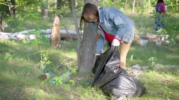 Grupp av frivilliga städar skogen på sommaren, vuxen kvinna samlar plastflaskor nära trädet — Stockvideo