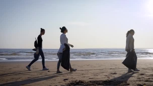 Voluntários do sexo feminino estão andando com sacos de plástico sobre praia de areia selvagem durante o dia, limpeza do território da cidade — Vídeo de Stock