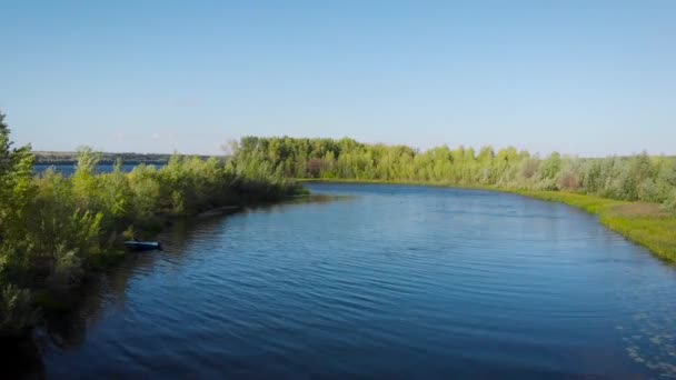 Aerial view of calm small river and trees on shores in sunny weather in summer, camera is flying along coasts — Stock Video