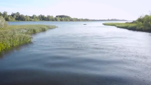 Drone is flying low over water surface of calm river in sunny summer day, green coasts on shallow — Stock Video