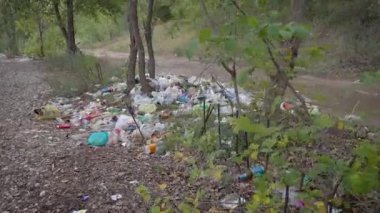 Yaz aylarında yol kenarındaki orman tatil köyünde plastik çöp yığını. Hareketli çekim, kamera yaklaşıyor.