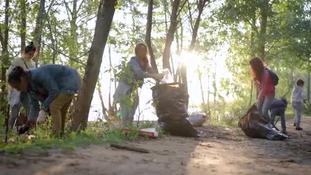 Взрослые женщины очищают территорию сельских лесов в летний день, складывая отходы в большие черные мешки — стоковое видео