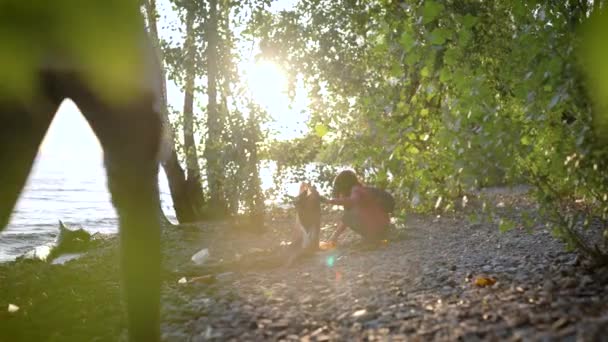 女性の生態系ボランティアは夏の日に沿岸部を清掃し森林の低木の葉を通して眺め — ストック動画