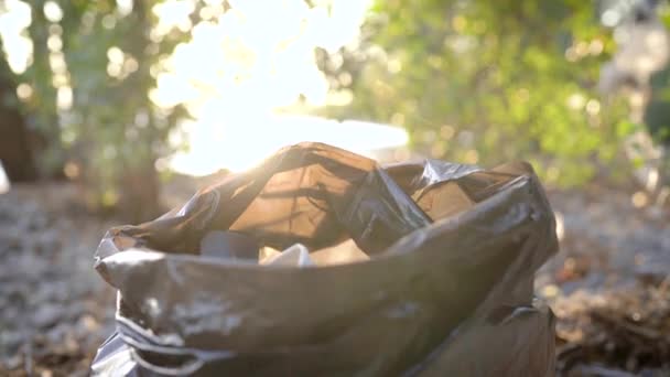 People are throwing garbage in plastic bag in forest in summer day, closeup view, cleansing territory from garbage — Stockvideo