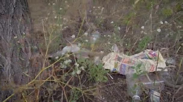 Paper and plastic waste are lying on ground between grass in forest in summer day, closeup moving shot — Stockvideo
