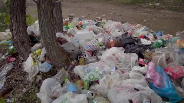 Μη αποικοδομήσιμα απόβλητα σωρός και ακαθαρσίες είναι στο δάσος κατά τη διάρκεια της καλοκαιρινής ημέρας, φωτογραφική μηχανή κινείται πίσω, ρύπανση του περιβάλλοντος — Αρχείο Βίντεο